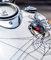 Spider